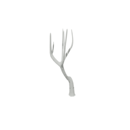 Birch Tree Dead 2